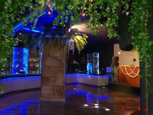 Pub Disco en traspaso